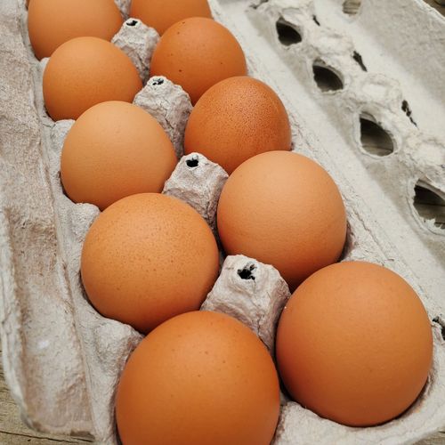 Local Brown Eggs size XL dozen
