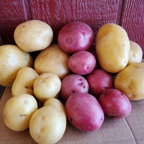 Local Potatoes regular