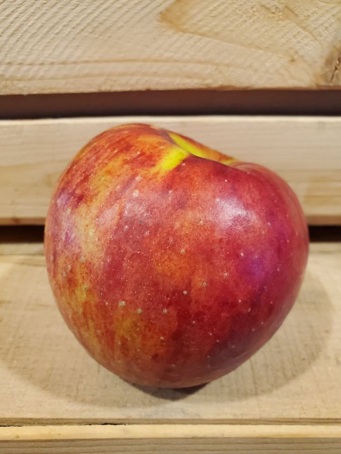 Local Apples JONAGOLD