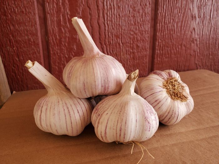 Garlic Jumbo from Spain