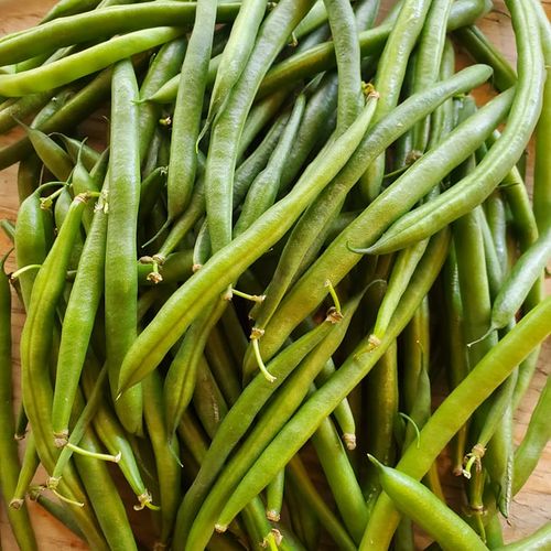 Green Beans