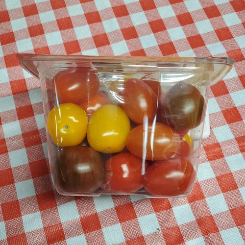 Local Medley Cherry /Grape Tomatoes
