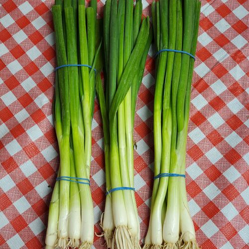 Green Onions