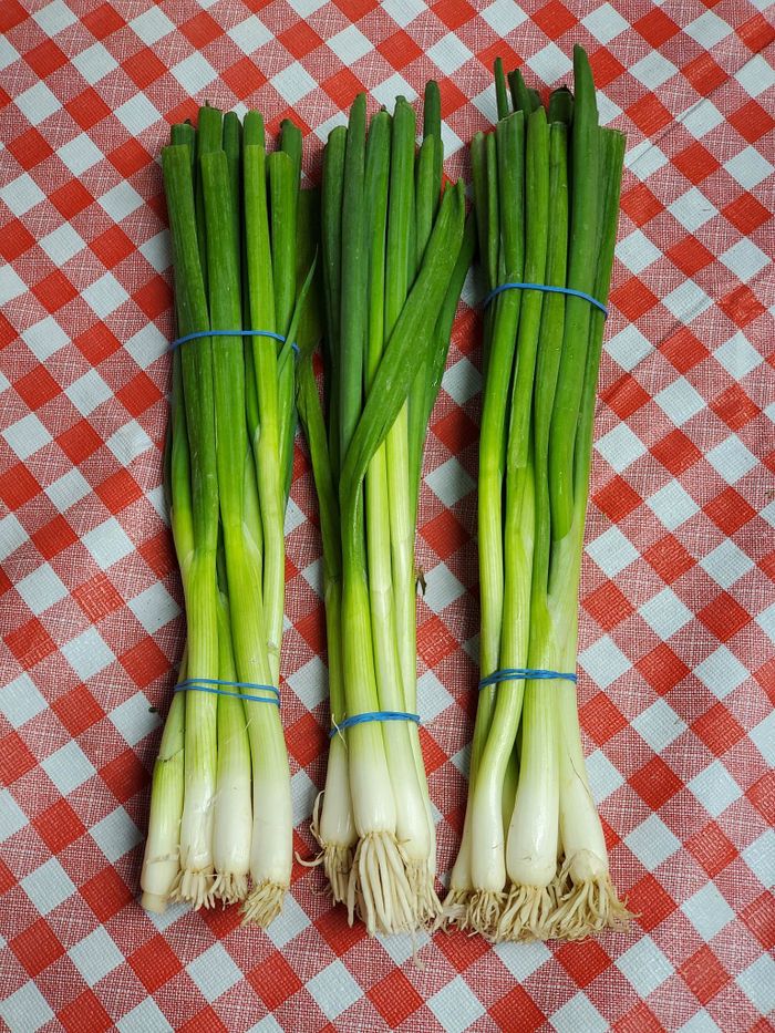 Green Onions