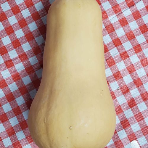 Local Butternut squash