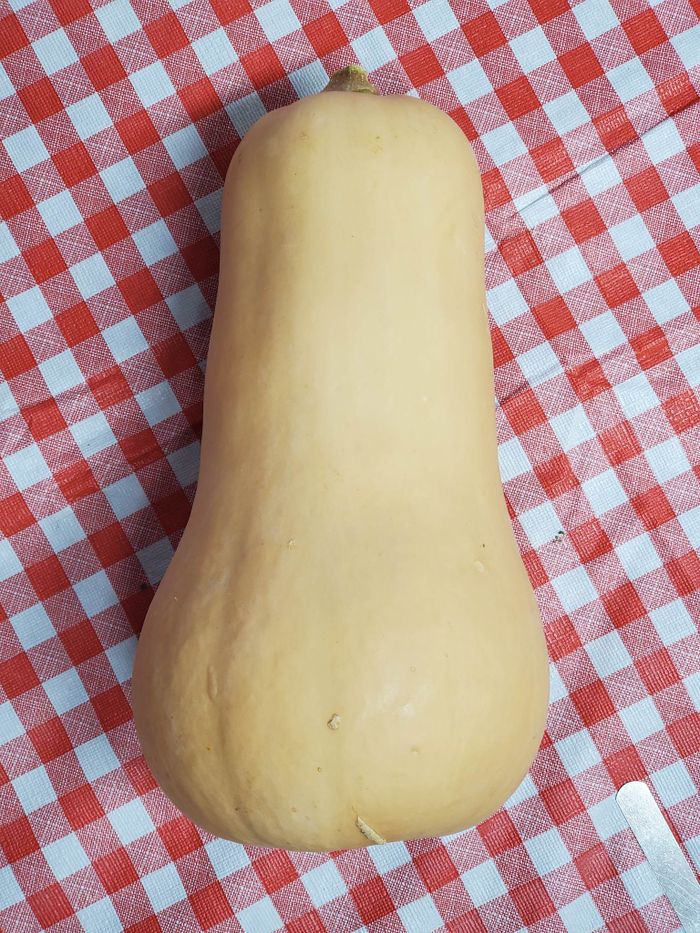Local Butternut squash