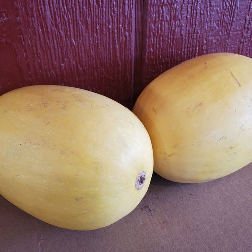 Local Spaghetti Squash