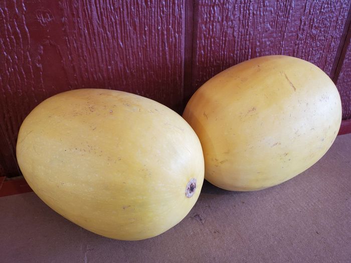 Local Spaghetti Squash