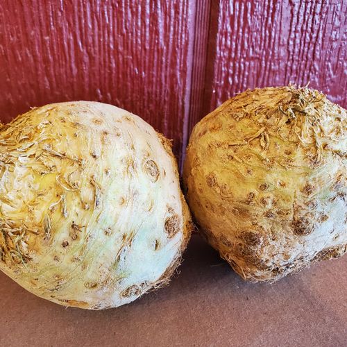 Local Celery Root