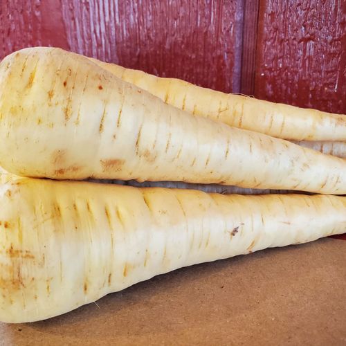 Local Parsnips