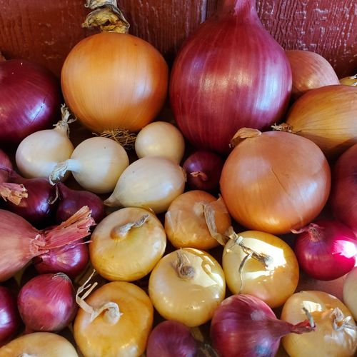 Local Onions