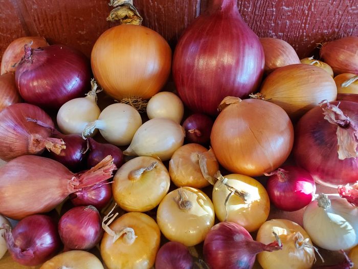 Local Onions