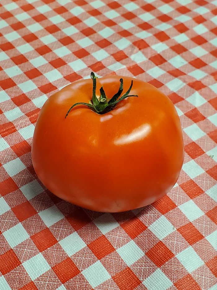 Local Tomatoes Beefsteak