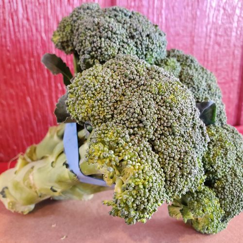Broccoli