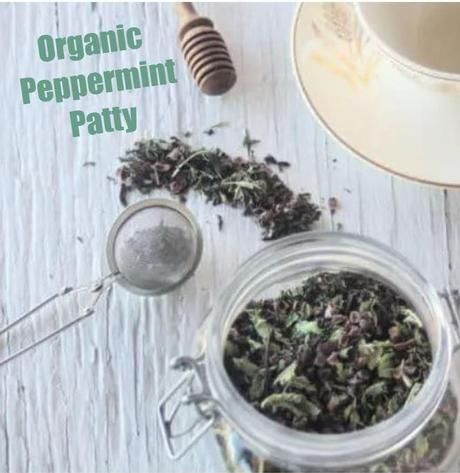 Organic Peppermint Patty
