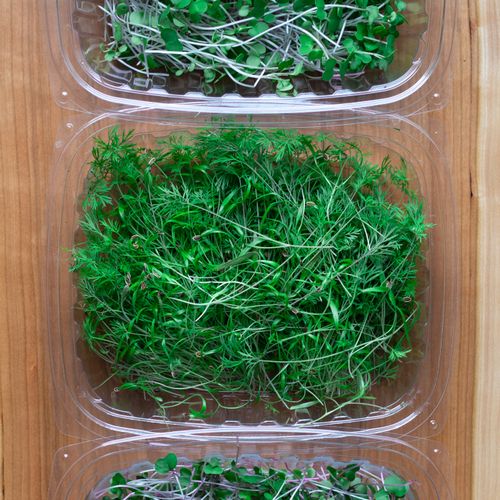 Greens on the Go Delivery Service: Bi-weekly