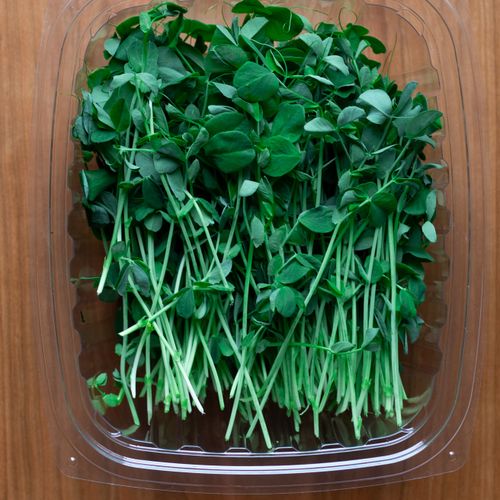 Port Dover Pick up-Speckled Pea Microgreens