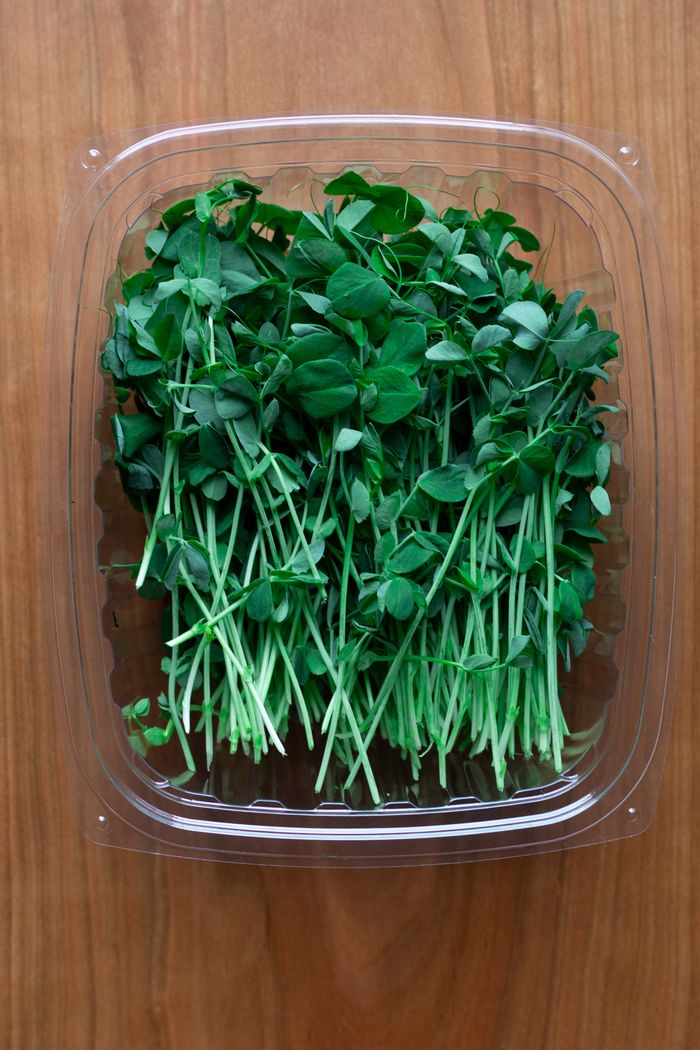 Port Dover Pick up-Speckled Pea Microgreens