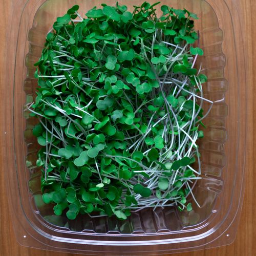 Port Dover Pick Up- Broccoli Microgreens