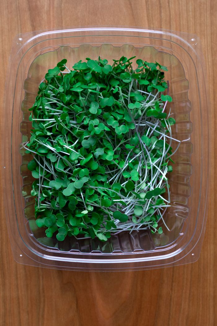Port Dover Pick Up- Broccoli Microgreens