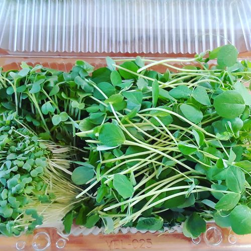 Port Dover Pick Up- Mixed Large Pack