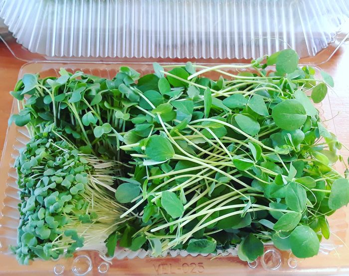 Port Dover Pick Up- Mixed Large Pack