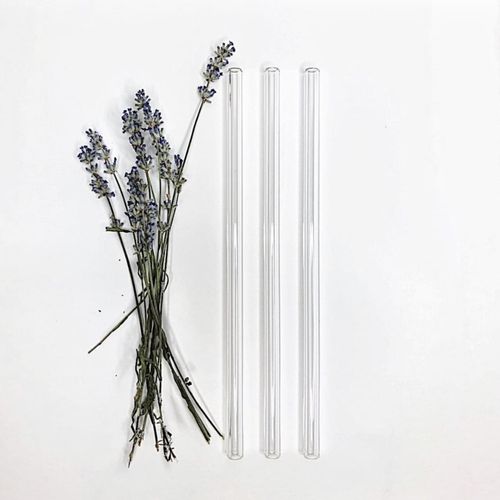 9" Straight Strawhopper Glass Straw