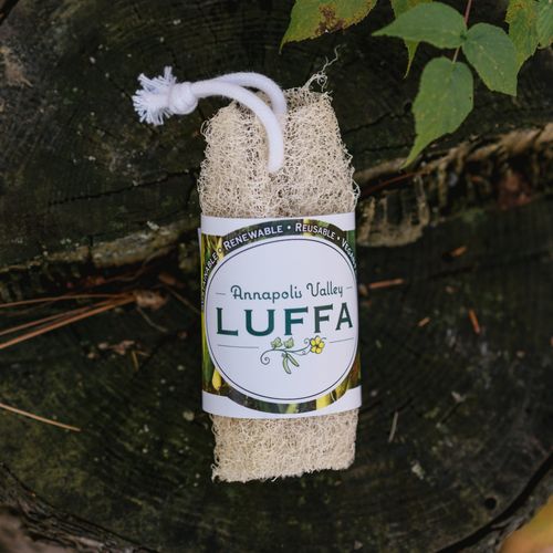 Personal Corded Body Sponge