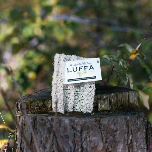 5â€³x5â€³ Multi-Scrubber