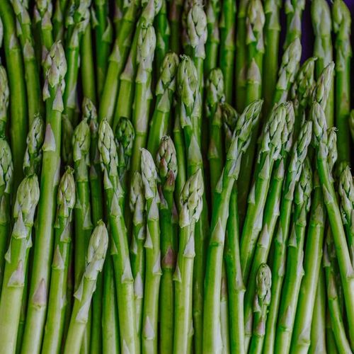 Asparagus -slim cut 1lb
