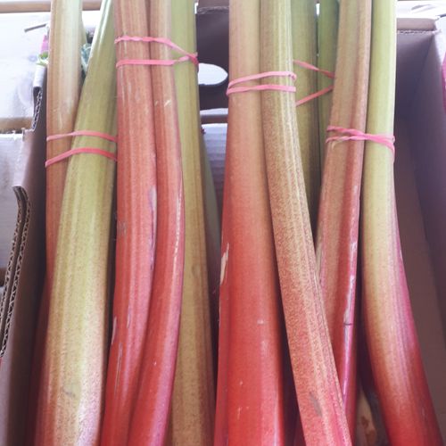 Rhubarb
