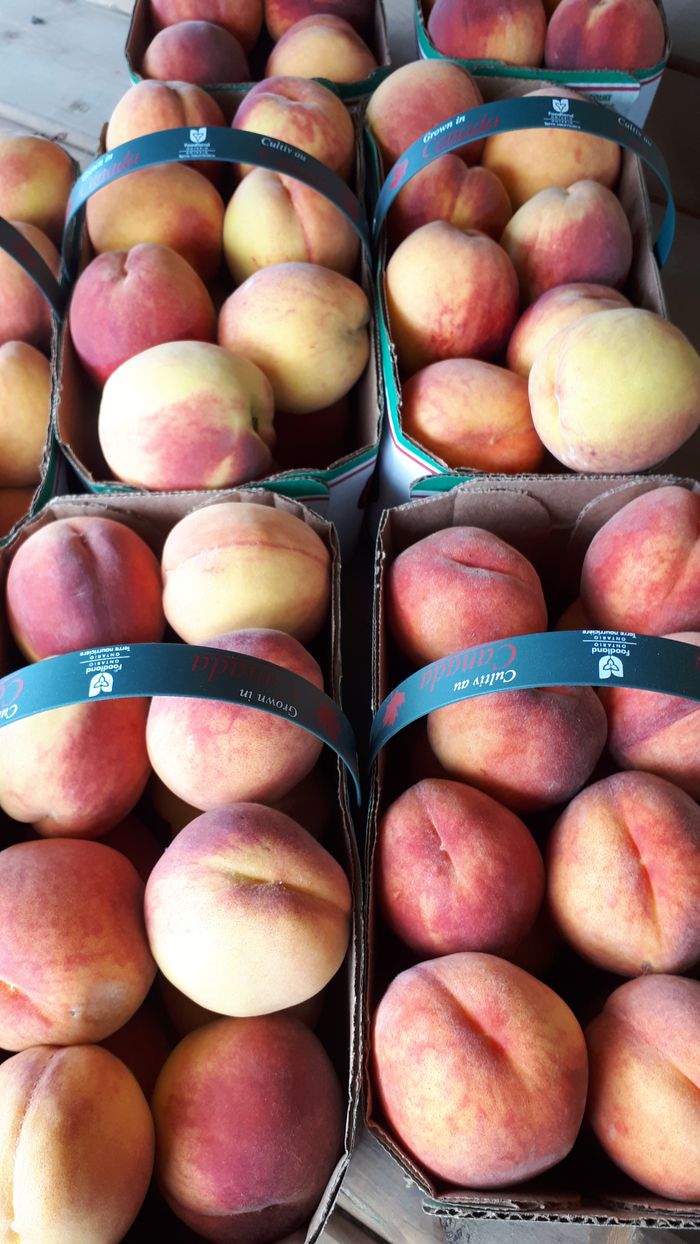 Basket of peaches