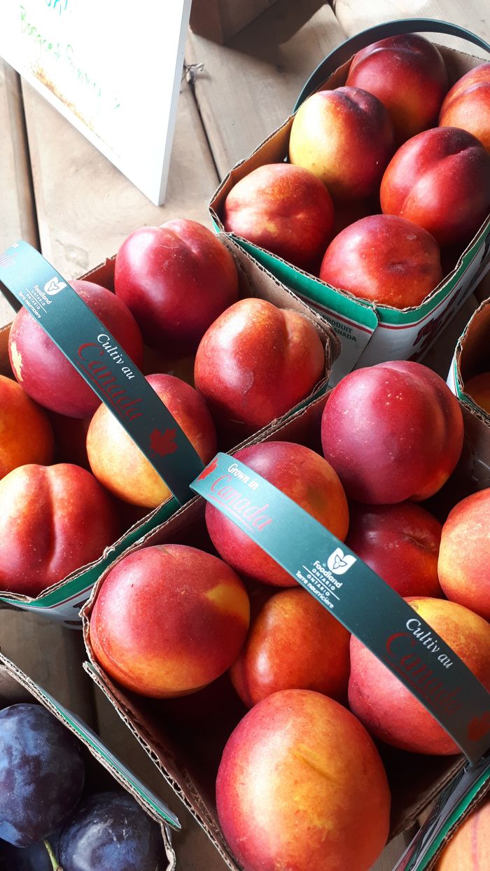 Nectarines